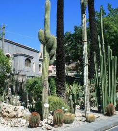 Orto Botanico dell’Università di Catania