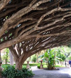 Orto Botanico dell’Università di Catania