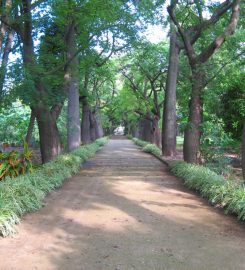 Orto Botanico dell’Università di Catania