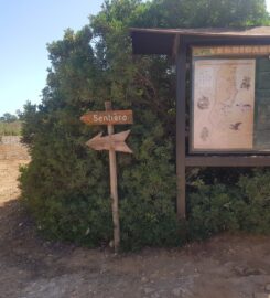 Spiaggia Calamosche – Siracusa