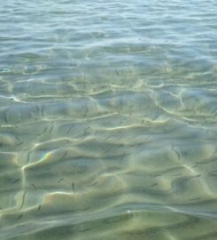 Spiaggia Calamosche – Siracusa