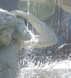 Fontana dell’Amenano di Catania