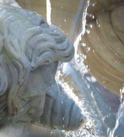 Fontana dell’Amenano di Catania