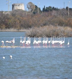 Spiaggia Mollarella – Agrigento