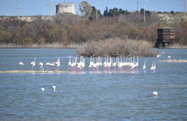 Spiaggia Mollarella – Agrigento